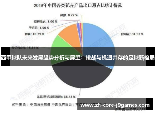 西甲球队未来发展趋势分析与展望：挑战与机遇并存的足球新格局